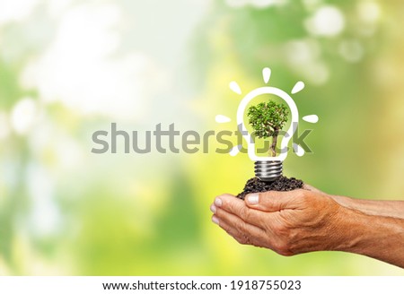 Light glass bulb with growing tree. Ecological friendly and sustainable environment