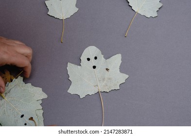 22,085 Gray ghost Images, Stock Photos & Vectors | Shutterstock