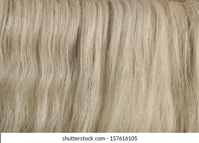 Light Gray Horse Hair, Mane