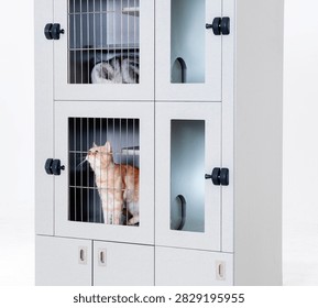 Light gray multi-layered lockable cat cabinet against a pure white background