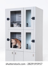 Light gray multi-layered lockable cat cabinet against a pure white background