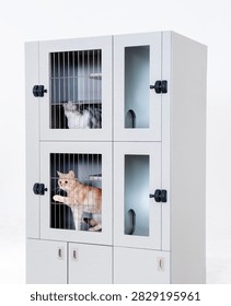 Light gray multi-layered lockable cat cabinet against a pure white background