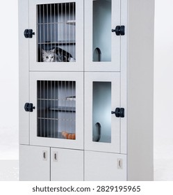 Light gray multi-layered lockable cat cabinet against a pure white background