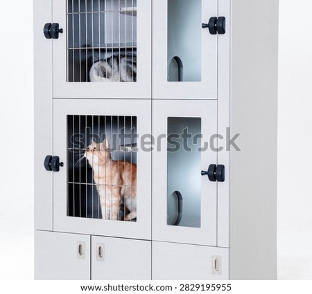 Light gray multi-layered lockable cat cabinet against a pure white background