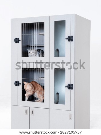Light gray multi-layered lockable cat cabinet against a pure white background