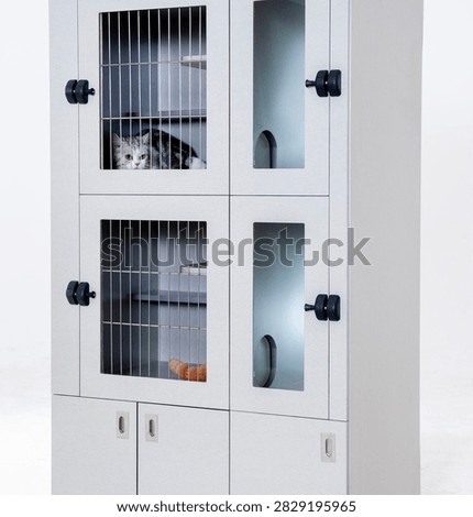 Light gray multi-layered lockable cat cabinet against a pure white background