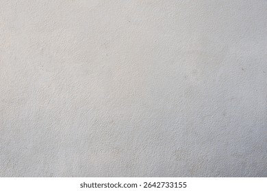 Light Gray Rough Plaster Wall Texture
