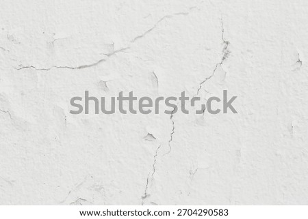 Light Gray Stucco Wall Texture. Abstract Background