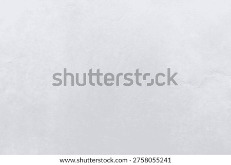 Light gray textured background with subtle cracks and a smooth, matte finish, ideal for minimalist designs or as a neutral backdrop.