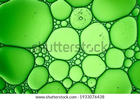 Light Green Background Closeup of Oil Drops in Water. Abstract Macro Photo of Liquid Surface with Bubbles. Bright Design of Structural Watery Texture.