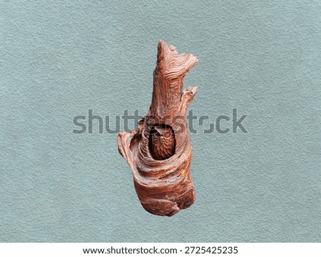 The light green background in the image features a carved, golden-brown aquatic tree root with an owl in the center. The owl has a hole in the middle of the trunk and is used for decorative purposes.