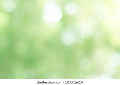 Light green bokeh nature abstract background