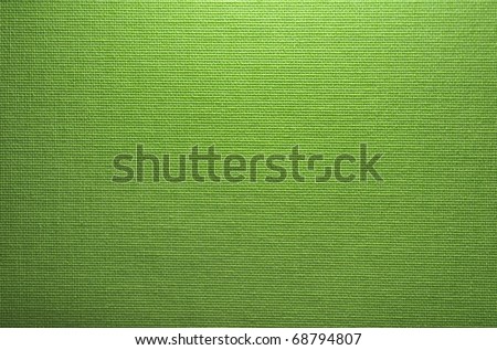 light green canvas texture