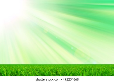 Light Green Green Grass Texture Abstract Stock Photo (Edit Now) 492234868