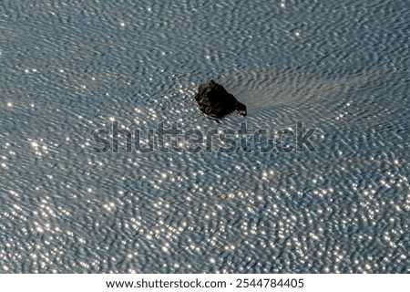 Similar – water on water with leaf padding