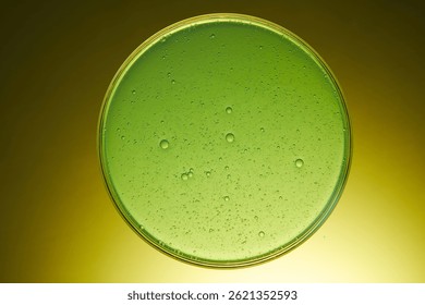 El líquido verde claro extraído de la hierba de centeno natural se llena en una placa de vidrio de Petri. El experimento se llevó a cabo en el laboratorio para modular cosméticos y medicamentos. Fondo verde amarillo oscuro.
