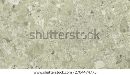 Light Grey Terrazzo Stone Texture with Mixed Chips and Mineral Fragments for Modern Interior Surfaces and Backgrounds