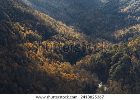Light illuminates the Autumn colors at the bottom of the Blackwater Canyon at Blackwater Falls State Park in Davis, West Virginia.