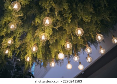 Light lamp and plant decoration ceiling design by hanging electric vintage bulb. Interior green leaf indoor background, flower natural style garden chandelier in modern home, cafe and restaurant. - Powered by Shutterstock