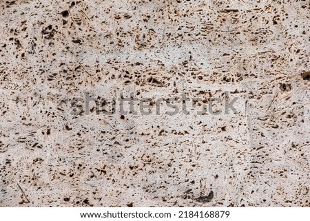 Light limestone slab with shell marks. Shell rock texture. Natural stone background