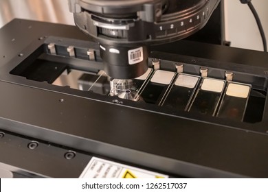 Light Microscope With Several Samples Mounted On Microscopy Slides.