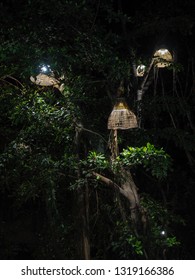 light on the tree