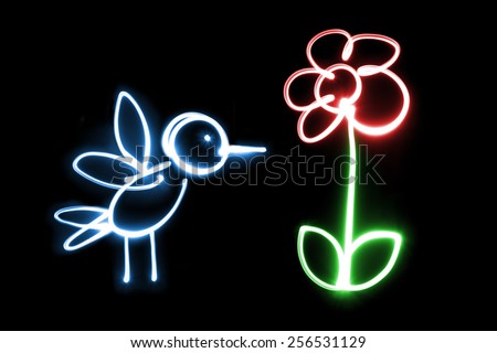 Light painting Bird / Flower