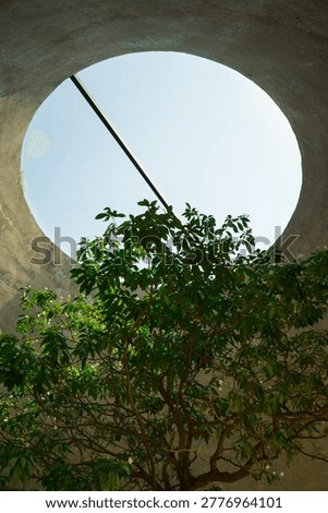 Light passes through a circular hole in the concrete ceiling, creating a light beam and shadows with tree in the building.
