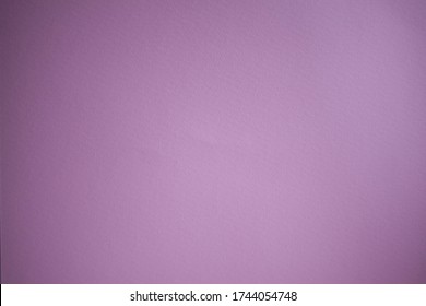 Light Pastel Pink Violet Flat One Color Paper Texture Art Simple Background Element