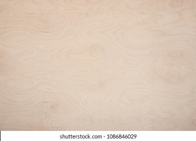 Light pastel tone natural birch texture wood panel