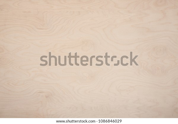 Light Pastel Tone Natural Birch Texture Stock Photo Edit Now