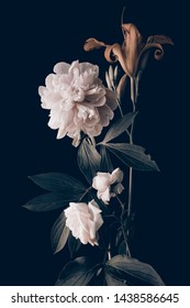 Light Peony And Garden Flowers, Foliage, Dark Background.