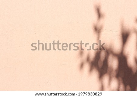  light pink background with shadows for presentation mock up