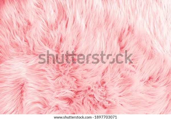 Light pink long fiber soft\
fur. Pink fur for background or texture. Fuzzy pink fur plaid.\
Shaggy blanket background. Fluffy fake textile fur. Flat lay, top\
view, copy space