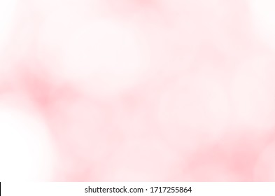 Light Pink Old Rose Bokeh Abstract Background