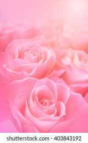 Light Pink Roses Soft Color Blur Stock Photo (Edit Now) 403843192