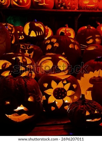 Jack-o’-lanterns light, pumpkins, pumpkin garden, pumpkin patch, Halloween, autumn, holidays decorations in London, autumn vibes, fall, fall decor 