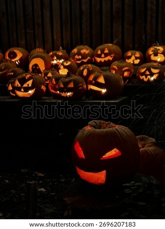 Jack-o’-lanterns light, pumpkins, pumpkin garden, pumpkin patch, Halloween, autumn, holidays decorations in London, autumn vibes, fall, fall decor 