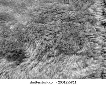 Light Rabbit Fur Texture, Close Up Gray Background Color