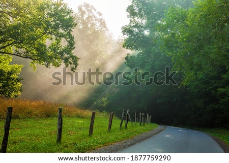 Light rays on a road in the morning in Cades Cove in thee Great Smoky Mountains National Park