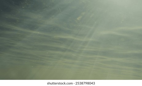 Light rays shining underwater in a small river during sunrise
