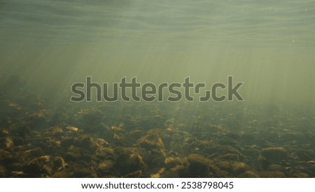 Light rays shining underwater in a small river during sunrise