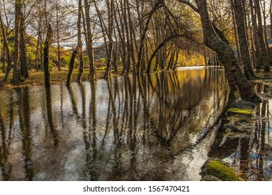 Light and reflections in the river