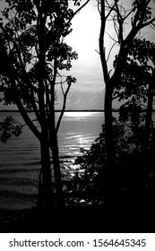 Light of the setting sun is shining over the lagoon creating beautiful and intriguing reflection on the water and trees silhouette.