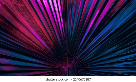 light and shade on palm leaf background, blue purple toned - Shutterstock ID 2140673187
