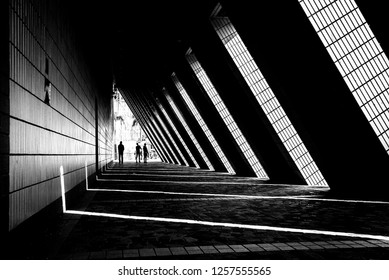 Light and Shadow