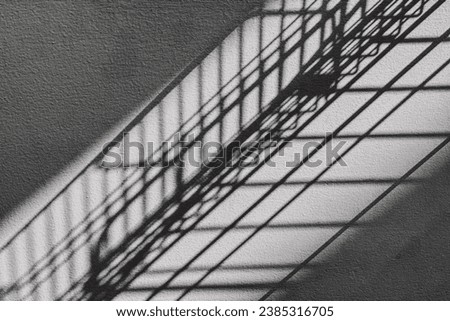Light and shadow create images beyond imagination.