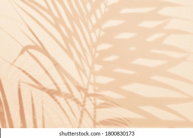 Light And Shadow Green Leaves,palm Leaf On Sand Color Grunge Wall Concrete Background.Silhouette Flat Lay Abstract Tropical Leaf Natural Pattern Summer Texture With Copy Space.Soft Image Backdrop.