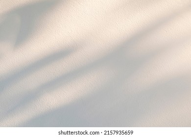 Light and shadow of leaf abstract grey background. Natural shadows and sunshine diagonal refraction on white concrete wall texture. Shadow overlay effect for foliage mockup, banner graphic layout - Shutterstock ID 2157935659