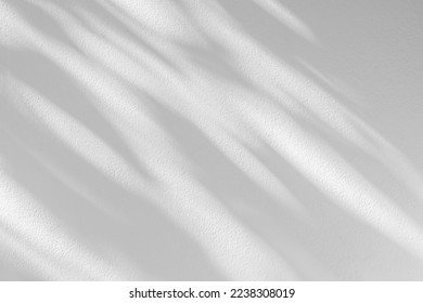 Light and shadow of leaf abstract grey background. Natural shadows and sunshine diagonal refraction on white concrete wall texture. Shadow overlay effect for foliage mockup, banner graphic layout